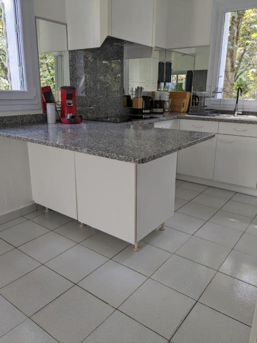 Maison Spacieuse Et Lumineuse 4 Personnes Lavilledieu  Extérieur photo